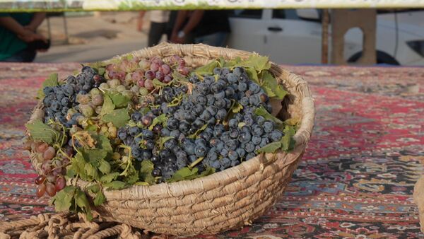 دا، جشنواره‌ای برای نمایش هم‌افزایی فرهنگ و ورزش در روستای کهک تاکستان