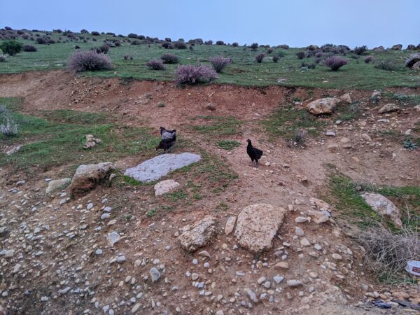 طبیعت زیبای میانکوه 