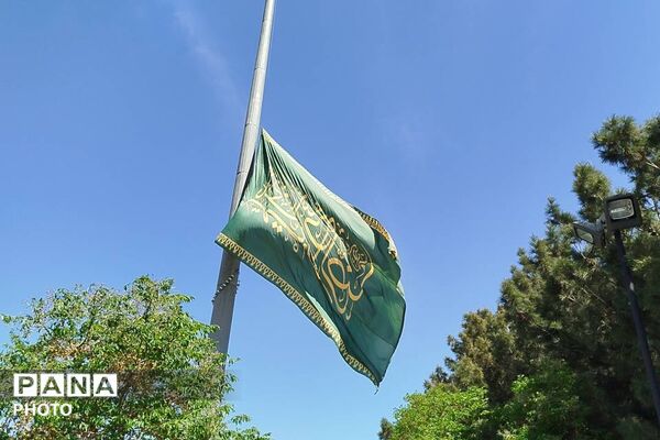 پیچیدن شمیم رضوی در شهر قدس؛ 