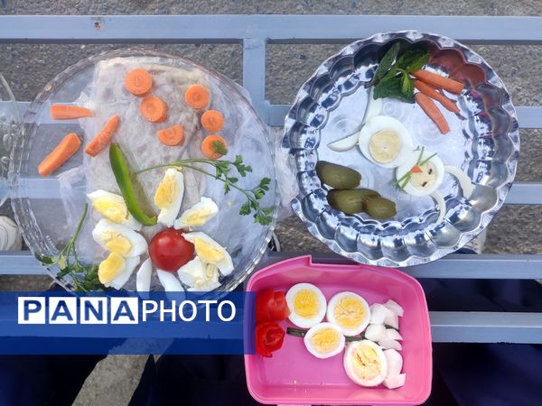 روز جهانی تخم مرغ در نیشابور 