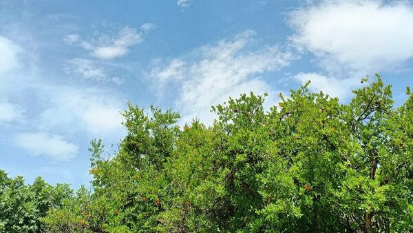 مسن و سرتنگ روستاهایی در دل طبیعت خانمیرزا 
