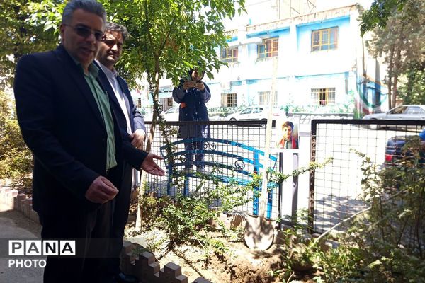 طرح محیط زیستی شهید مفقود الاثر ماکان نصیری در مدرسه رضوان ناحیه دو بهارستان