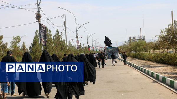 جلوه‌های خدمت‌رسانی به عاشقان اباعبدالله(ع)