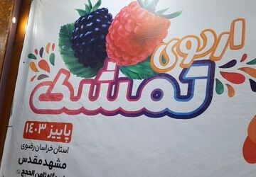 سومین روز اردوی تمشک در اردوگاه ثامن‌الحجج(ع) برگزار شد