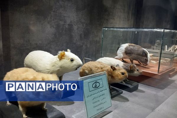 بازدید دانش‌آموزان ناحیه 2 بهارستان از کارخانه سرم‌سازی رازی