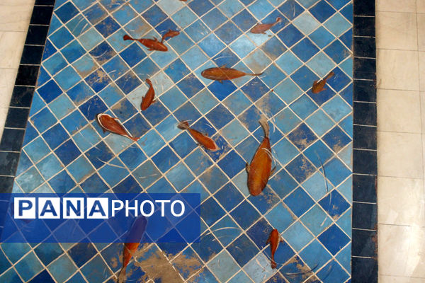 دوره تربیت مربی کاردان تشکیلات پیشتازان قم-1