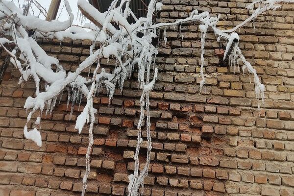 آلبوم تصویری از برف در طبیعت شهر بار 