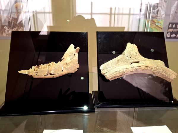 گشتی در تاریخ؛ از مدرسه دارالفنون به سمت دوره ایران باستان