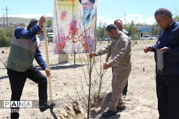 احداث باغ میوه به یاد شهید دانش‌آموز «ماکان نصیری»