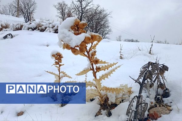 بارش باران و برف زمستانی در روستای کینک