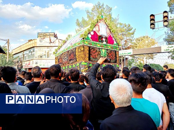 حرکت نمادین کاروان بندی اسد روستای فدافن و آیین نخل گردانی در کاشمر 