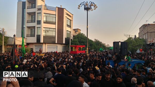 ورود باشکوه کاروان بنی اسد (ع) و نخل بزرگ فدافن به میعاد گاه عاشقان 
