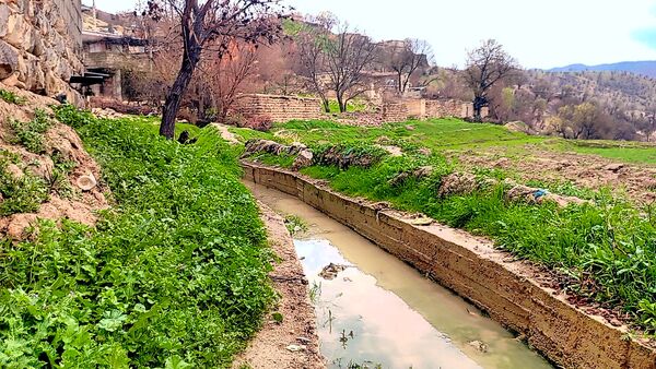 دومین روز بهاری منطقه میانکوه 