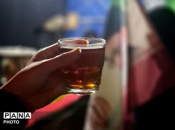  خدمات رسانی موکب ها در بلوار فضل نیشابور