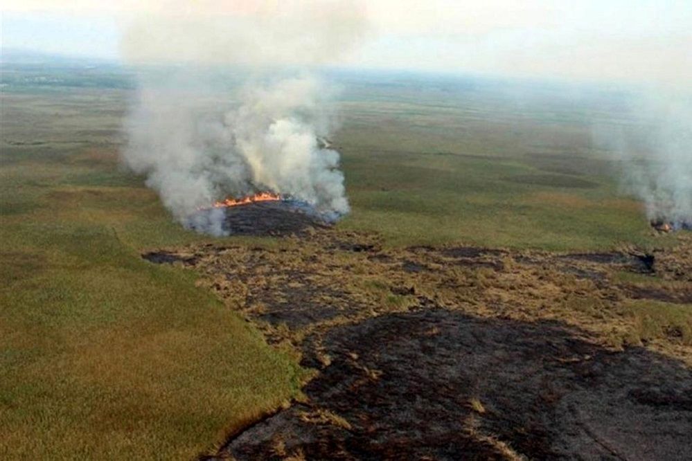 دستگاه دیپلماسی به مساله آتش‌سوزی در بخش عراقی تالاب هورالعظیم ورود کند