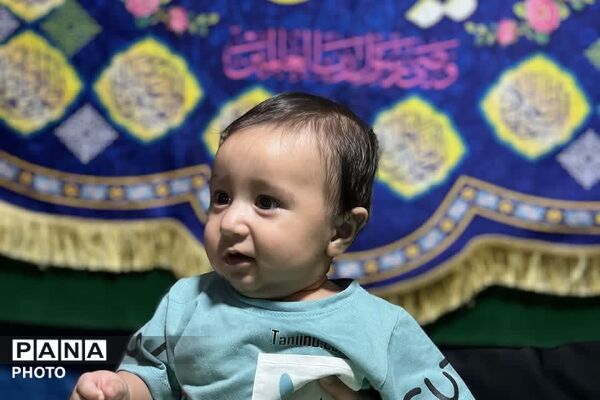 نبض شهر به عشق علی(ع) تپید