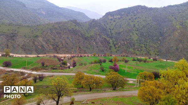 نگین سبز زاگرس 
