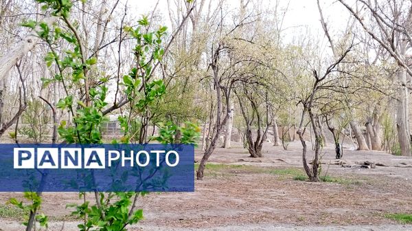 آوای گوش‌نواز بهار در طبیعت شهرستان‌بن