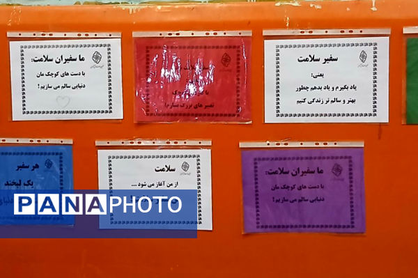 افتتاحیه طرح سفیران سلامت در مدارس شهرستان فیروزه