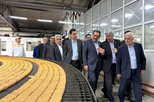 اتابک: وظیفه دولت و تمامی دستگاه‌ها حمایت همه جانبه از تولید است