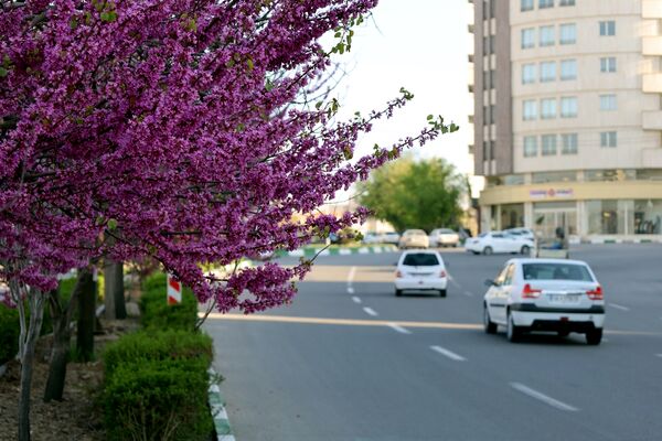 ارومیه شهر رویایی