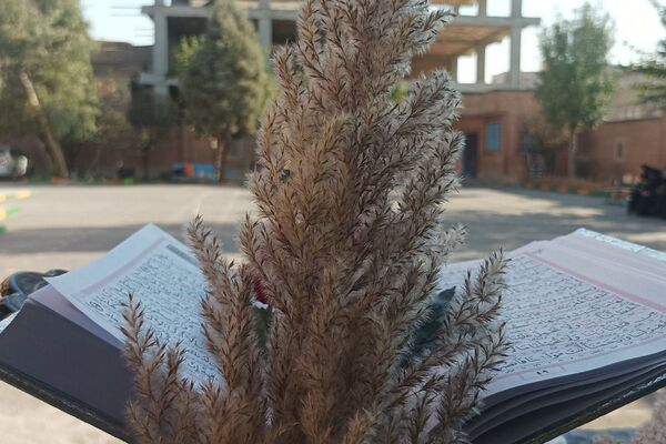 طنین نوای عشق و عزا؛ مراسم عزاداری دهه دوم فاطمیه در مدارس بهارستان‌دو