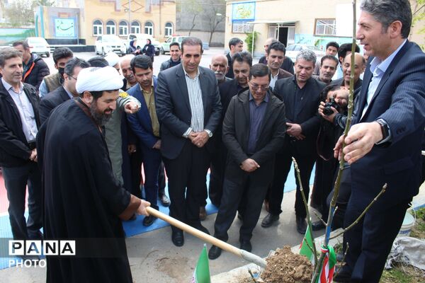 کاشت نهال همزمان با چهلمین روز شهادت فرشتگان میناب 