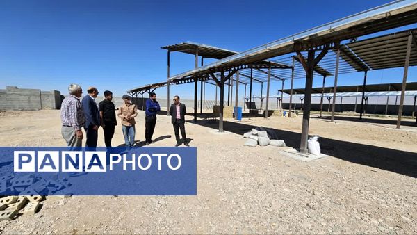 بازدید از طرح در حال احداث پرورش گاوشیری صنعتی