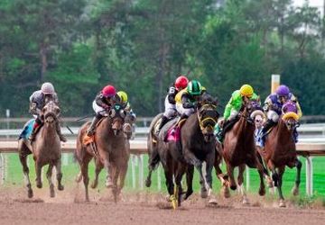 کورس پاییزه سوارکاری گلستان فردا در گنبدکاووس کلید می‌خورد