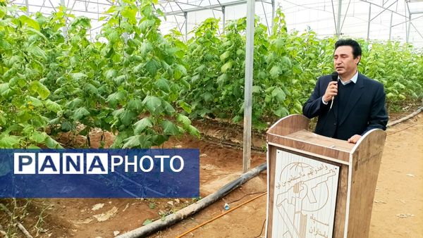 بازدید از گلخانه نمونه خسروشاه در هفته بسیج