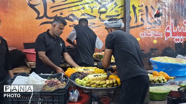 دلدادگی خادمان کودک و نوجوان در پیاده روی نجف به کربلا