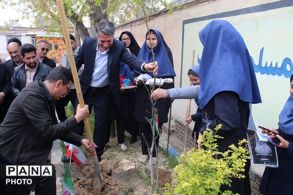 کاشت نهال همزمان با چهلمین روز شهادت فرشتگان میناب 