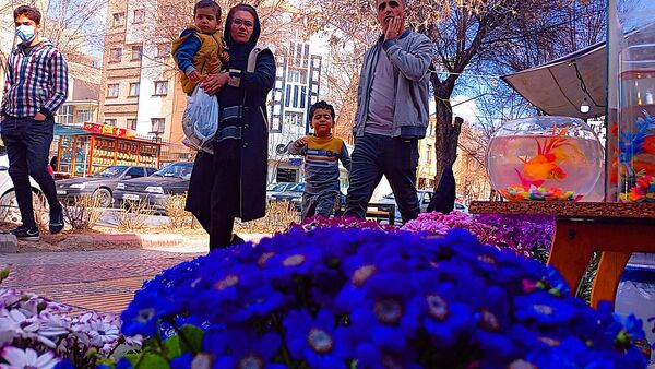 قاب‌هایی زیبا از مغازه‌های بام ایران، در روزهای پایانی سال 