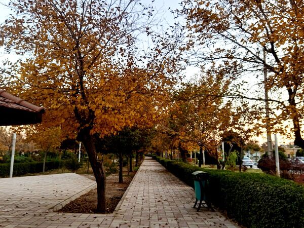 طبیعت زیبای کاشمر در پاییز