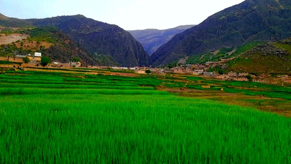 هنر در طبیعت نهفته است