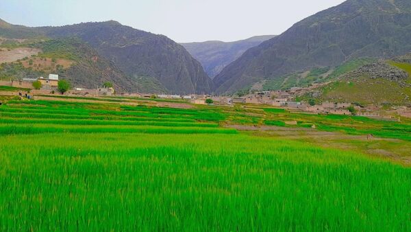هنر در طبیعت نهفته است