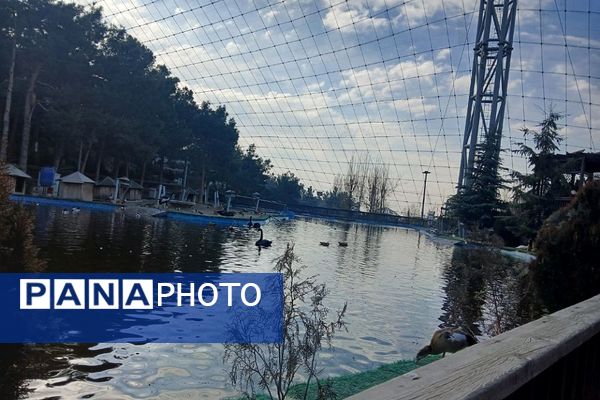 اردوی تفریحی مدرسه حدیث کساء از ناحیه یک شهرری