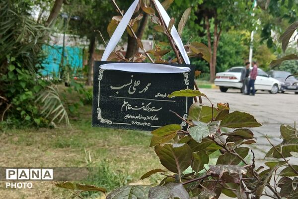 برای معلم برای ایران