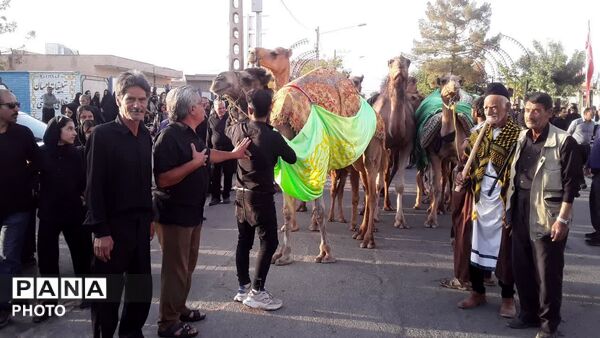 بنی اسد در فدافن،تجلی نام و نشان حضرت زینب (س) در روز دوازدهم محرم