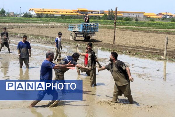 جشنواره فرهنگی و ورزشی بازی‌های شالیزاری در گلوگاه 