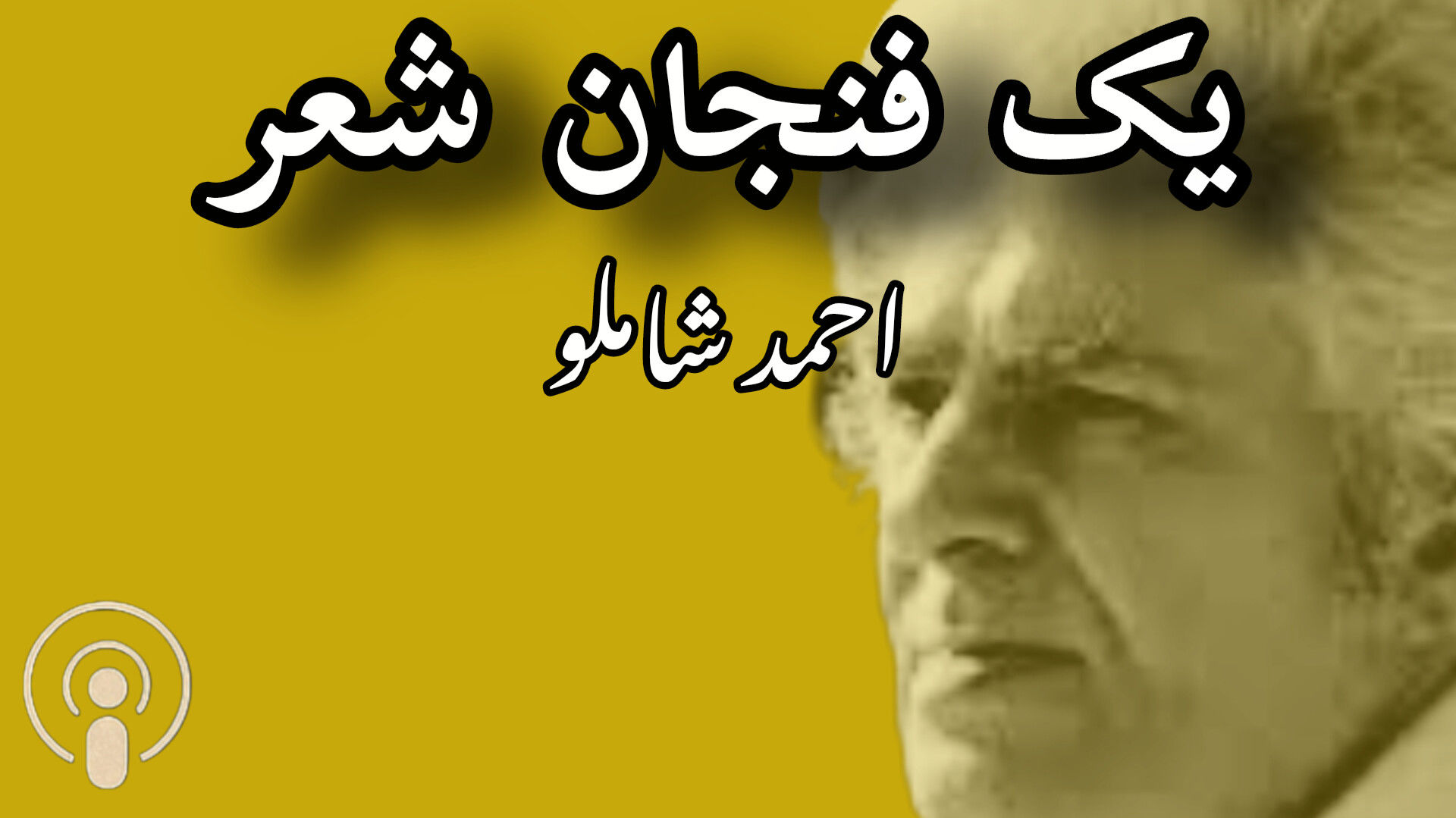 یک فنجان شعر