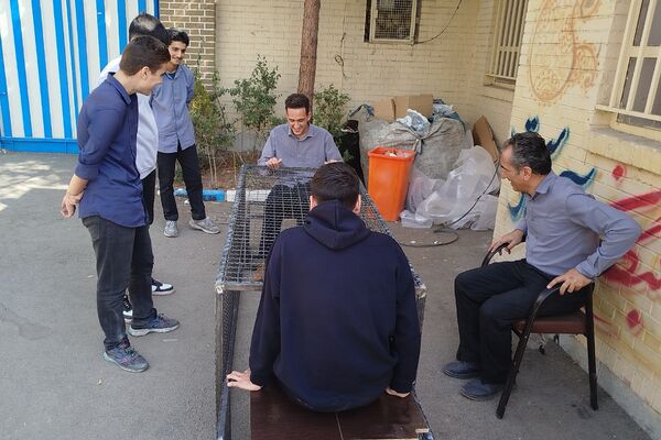 تجهیزات ورزشی مدرن بستری برای شکوفایی ستاره‌ها