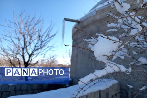 رد پای برف در باغات نهضت آباد اصفهان