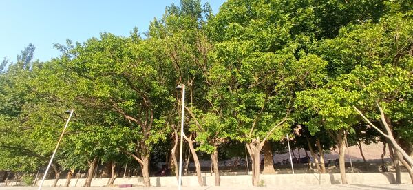 مزار گردشگری کلاته بایزید، گوهر پنهان طبیعت در دل کوهستان 