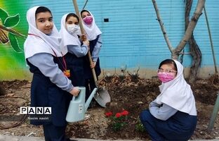 ایجاد نهالستان در 4 هزار و 500 مدرسه کشور