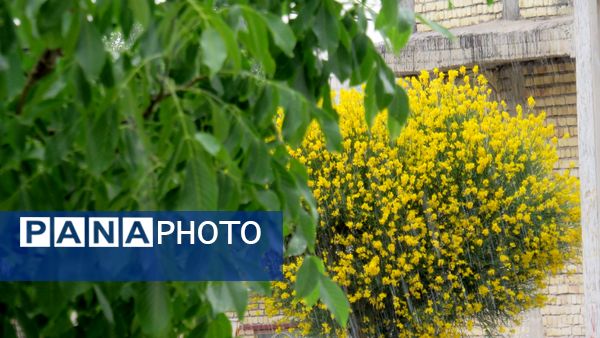 غافلگیری شهر بن از طرف آسمان