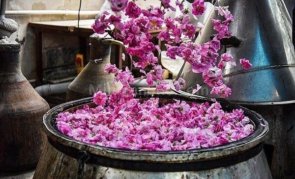 هدف برگزاری جشنواره‌ها نشان دادن آداب و رسوم اقوام مختلف کشور است