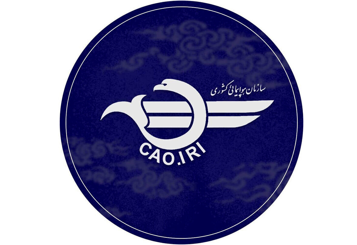 توضیحات هواپیمایی کشوری درباره برخورد پرنده با هواپیمای فوق سبک شخصی