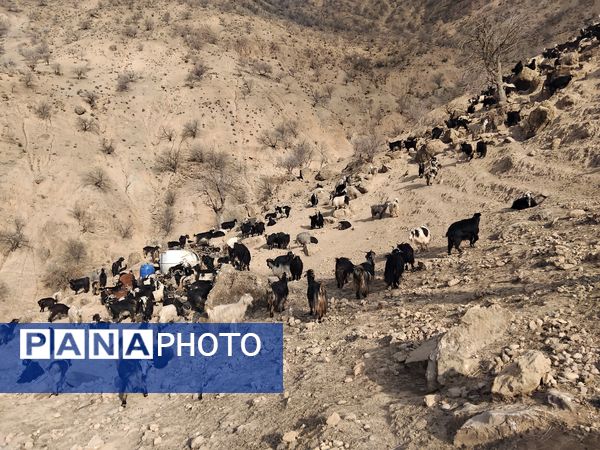  سرزمین عشق در دل سختی‌ها