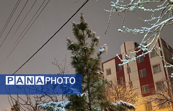 رحمت الهی برف بهاری بر دیار سلسله الذهب